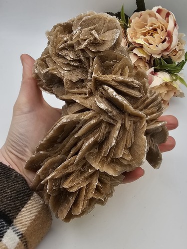 Large selenite desert rose - large,