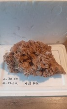 ROSA DEL DESERTO PIETRA