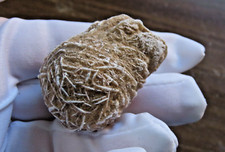 Rosa Del Deserto Minerale