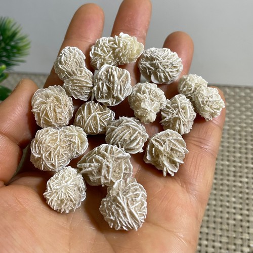 15pz guarigione grappoli - 15pz, di