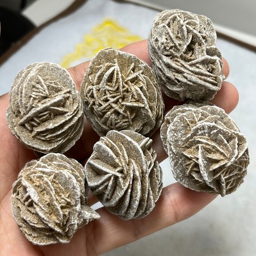 Desert rose selenite - desert,