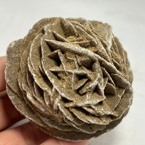165g rosa del deserto - rosa,