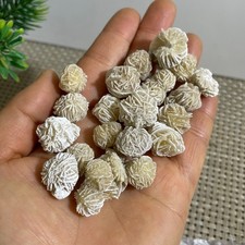 22pz Guarigione di grappoli