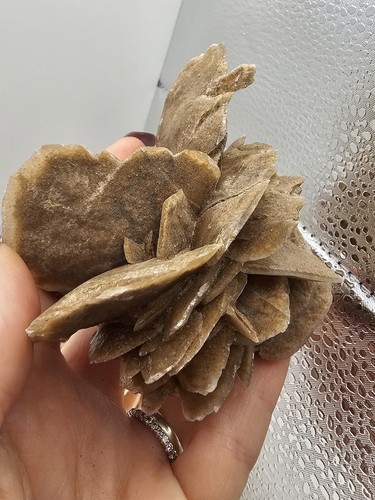 Large selenite desert rose - desert,