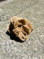 Rosa Del Deserto Pietra