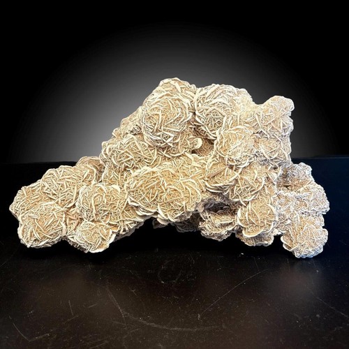 Selenite desert rose freeform - selenite,