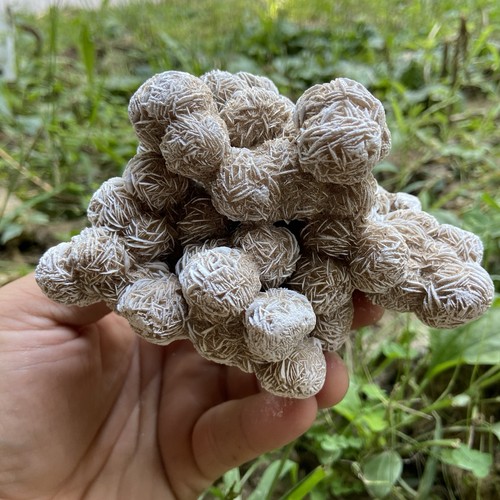 Libbra oz selenite rosa - libbra,
