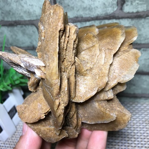 580g rosa del deserto selenite - 580g,
