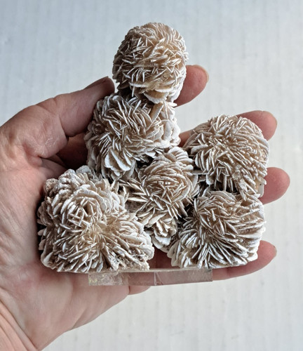 Rosa del deserto selenite
