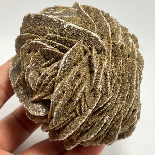 Rosa del deserto naturale 325g - deserto,