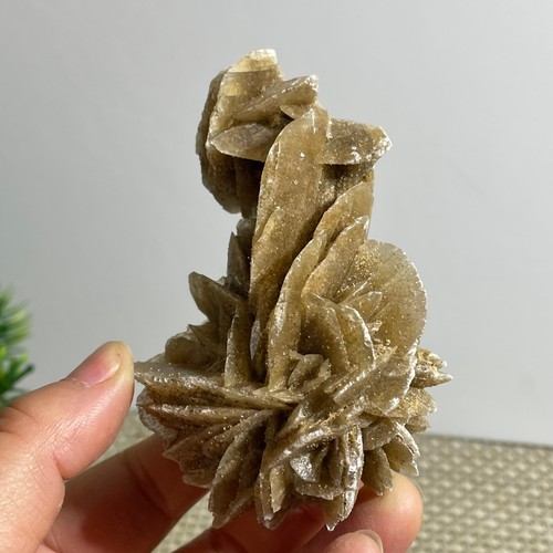 Pietra selenite rosa del