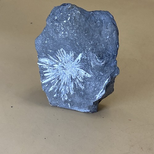 222g cristallo calcite - cristallo,