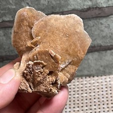 73g ROSA DEL DESERTO SELENITE