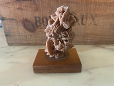 ROSA DEL DESERTO SU BASE 10 CM