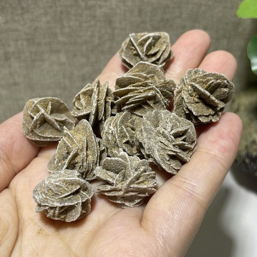 10pz guarigione grappoli - guarigione, di
