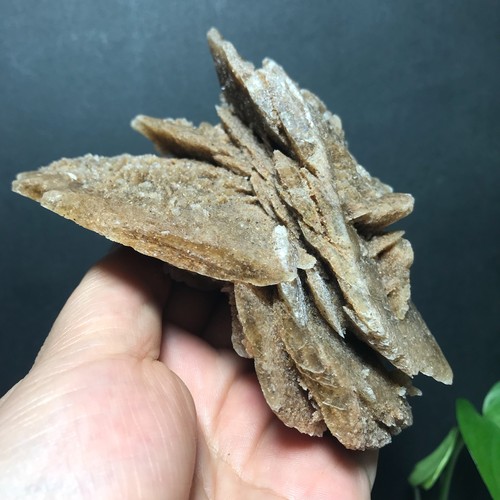 315g rosa del deserto - 315g,