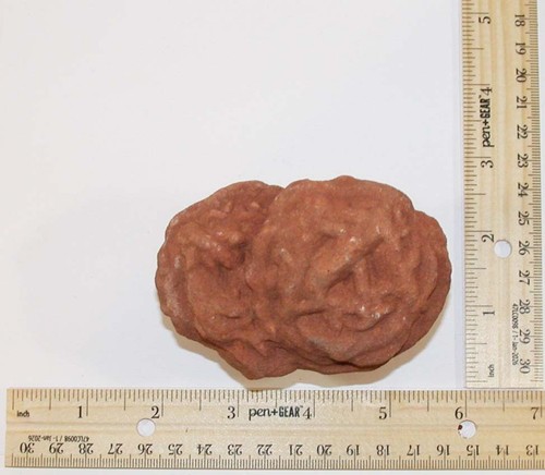 Desert rose esemplare - desert,