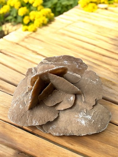 Pietra grezza rosa del deserto - rosa,