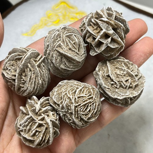 Desert rose selenite esemplare - selenite,
