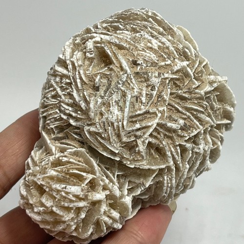 258g rosa del - del, naturale