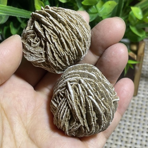 2pcs desert rose selenite - 2pcs,