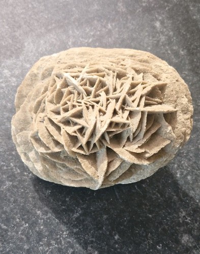 Desert rose selenite natural - selenite,