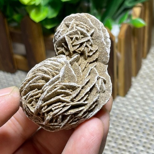 1pcs pietra selenite rosa del - selenite,