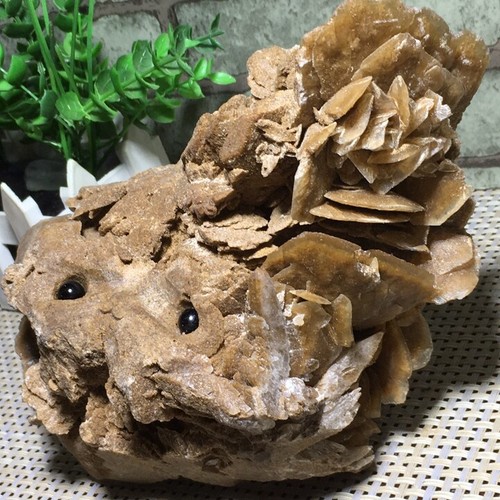 1370g rosa del deserto - del,