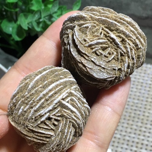 2pz 112g rosa del deserto - 112g,