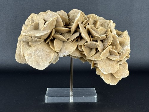 Rosa del deserto scultura - rosa,