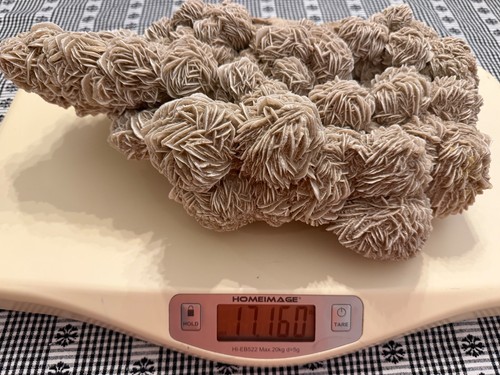 Grande grappolo di - lb,