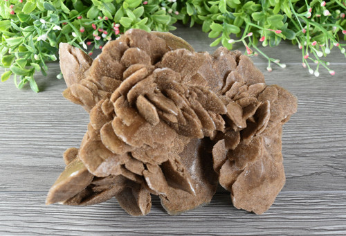 Grande selenite rosa del - selenite,