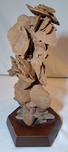 Rosa del deserto - rosa,