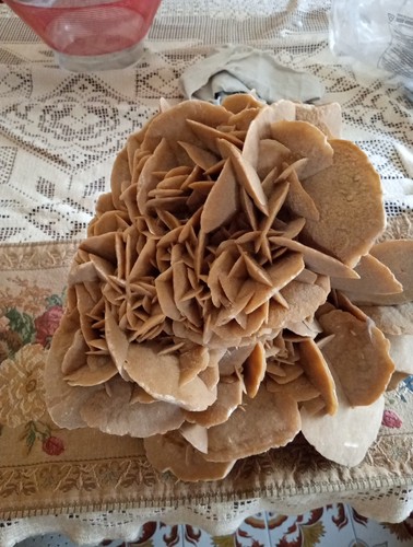 Rosa del deserto pietra - deserto,