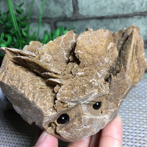 460g rosa del deserto selenite - rosa,