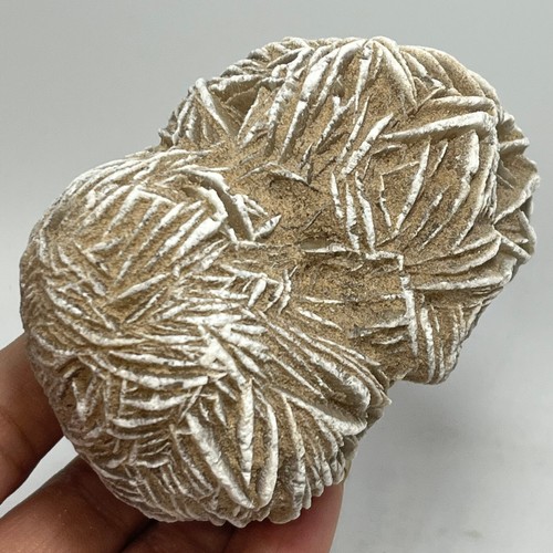 294g rosa del - 294g, naturale
