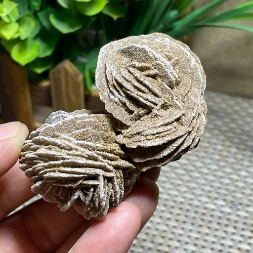 1pcs desert rose selenite - desert,